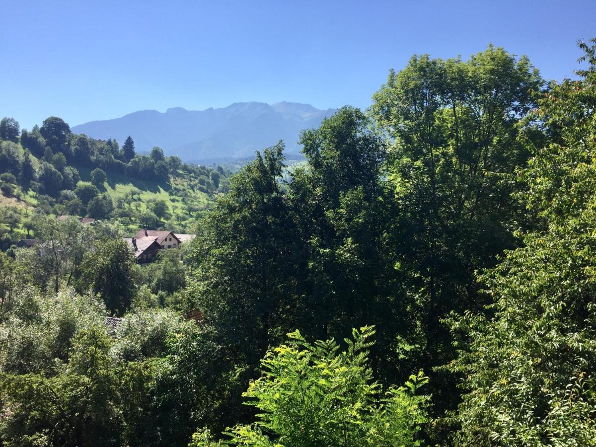Bran And Breakfast Guest House Exterior foto